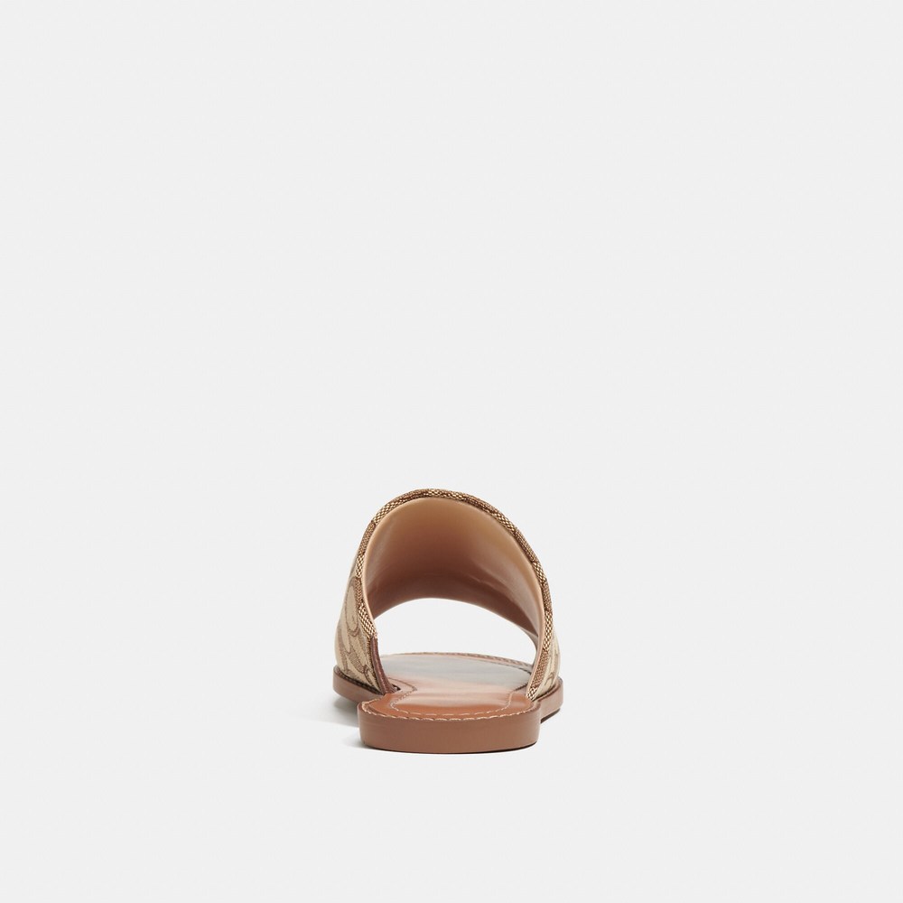 NWT Coach Outlet Hazel Sandal In Signature Jacquard - Picture 2 of 5